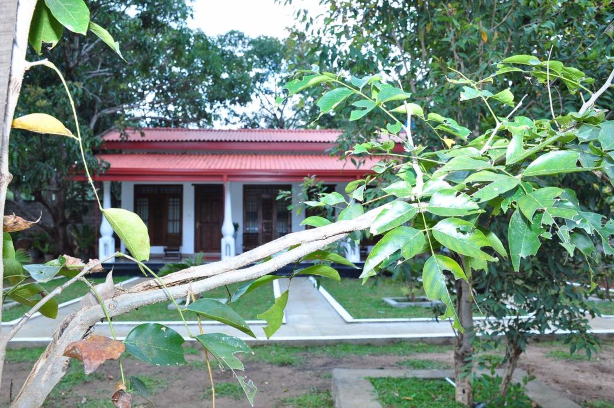 Winmi Resort Habarana Exterior photo